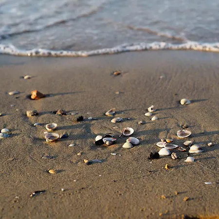 Relax During Your In Our Welcoming * Bibione